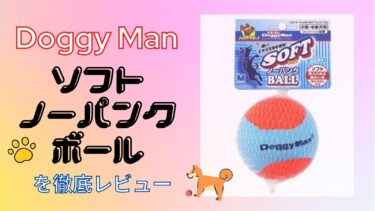 【おもちゃ】ドギーマン　ソフトノーパンクボールをレビュー